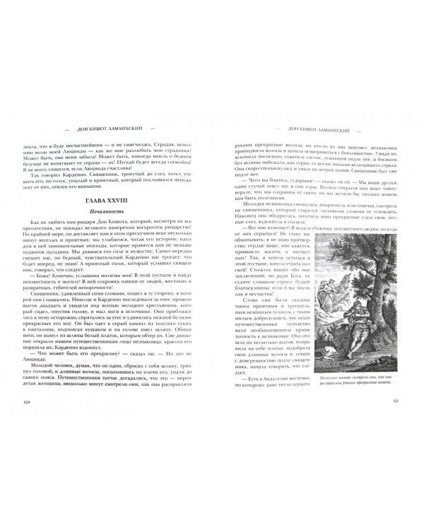 Полное собрание сочинений и писем. В 20 томах. Том 9. Дон Кишот Ламанхский