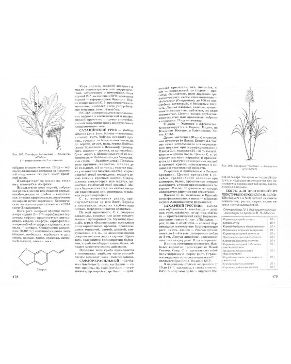 Большой энциклопедический словарь лекарственных растений. Учебное пособие