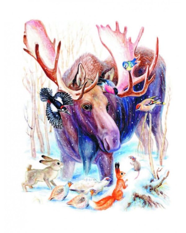 Лесные сказки и истории про животных