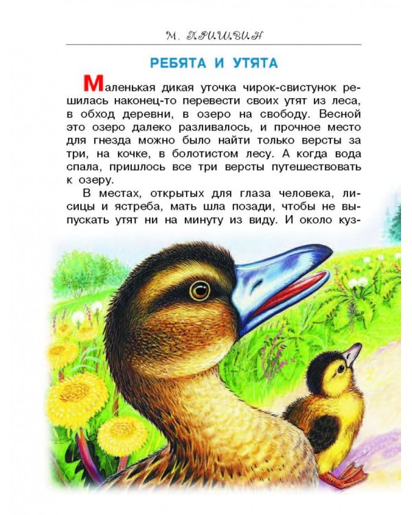 Лесные сказки и истории про животных