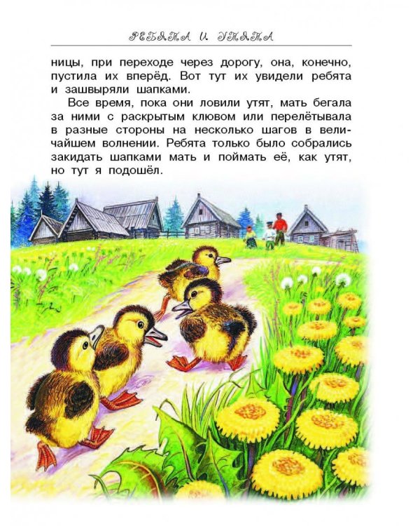 Лесные сказки и истории про животных