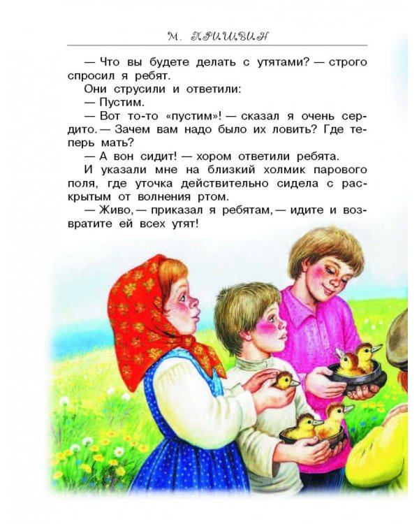 Лесные сказки и истории про животных