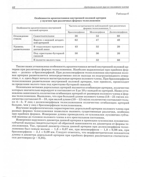 Половой член. Анатомия эректильной дисфункции