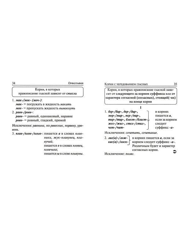 ОГЭ Русский язык. 9 класс. Карманный справочник