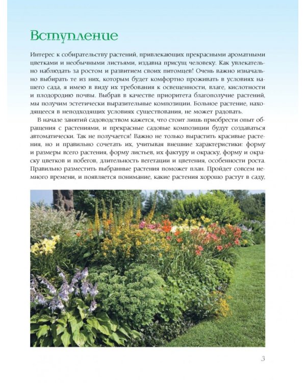 Прекрасный сад моей мечты