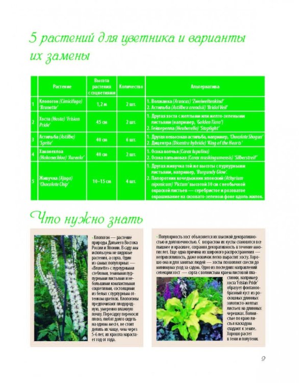 Прекрасный сад моей мечты