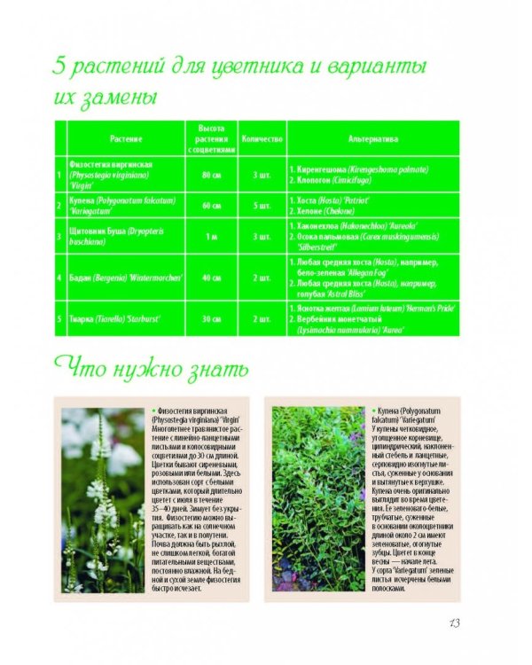 Прекрасный сад моей мечты