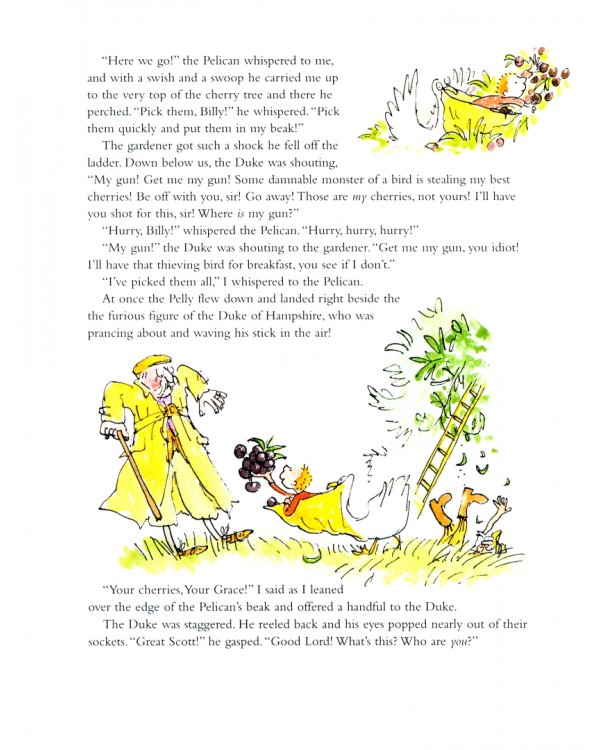 The Giraffe and the Pelly and Me