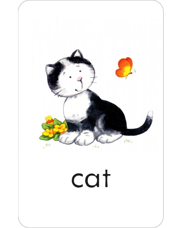 First Words. 50 flashcards