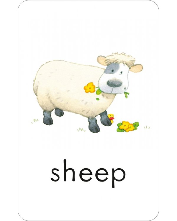 First Words. 50 flashcards