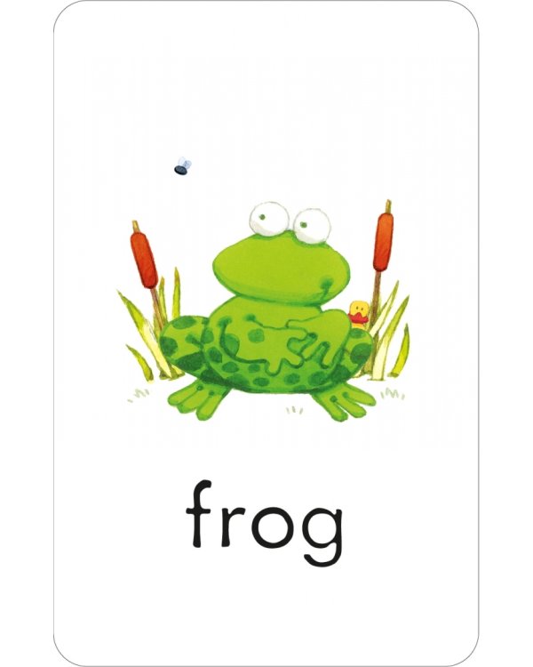 First Words. 50 flashcards