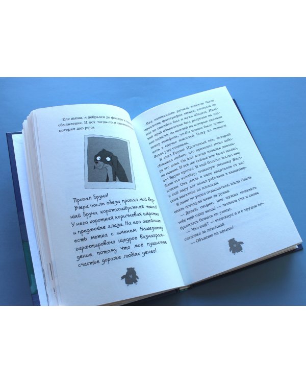 Куда пропала такса Бруно?