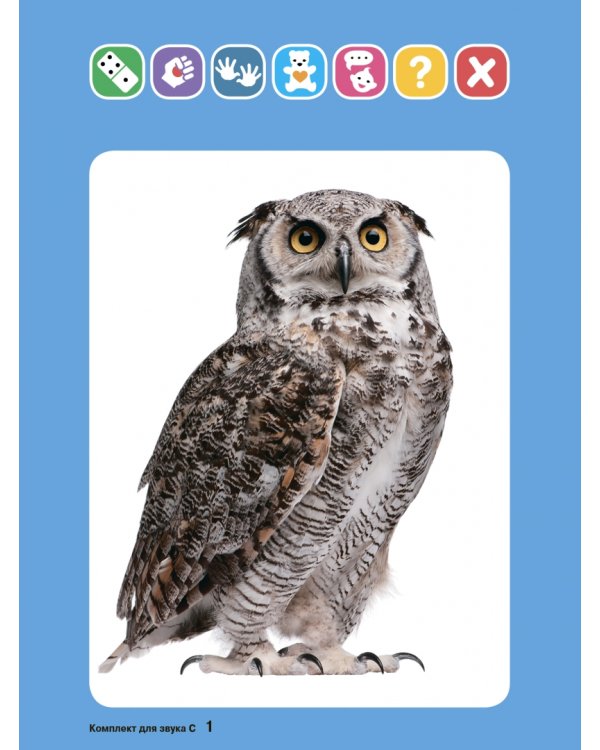 Логопедический комплект для автоматизации звука С