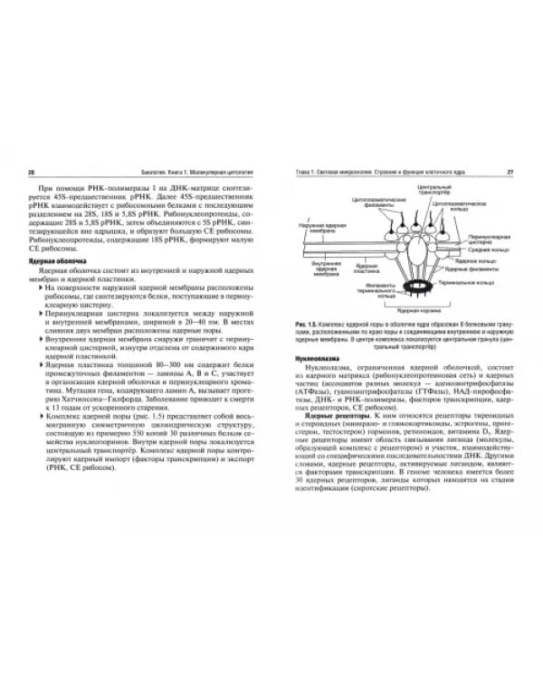 Биология. Книга 1. Молекулярная цитология. Учебник