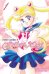 Sailor Moon. Том 1