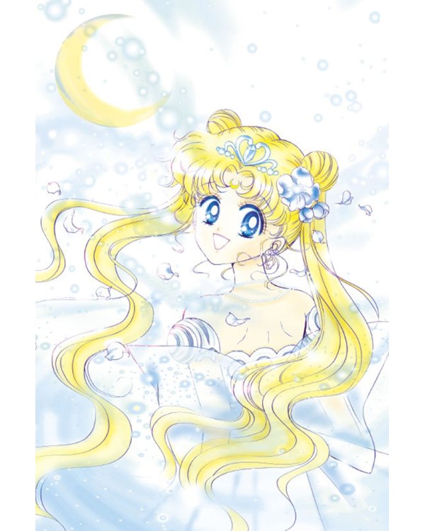 Sailor Moon. Том 1