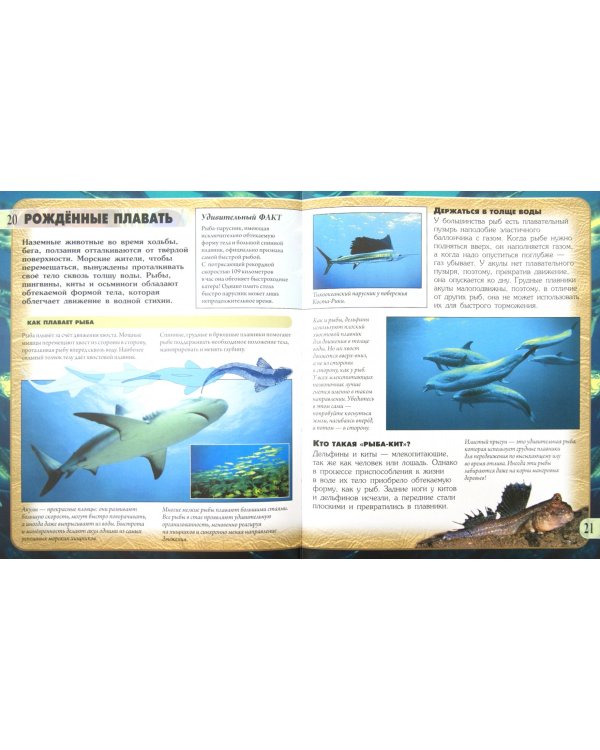 Передвижение животных