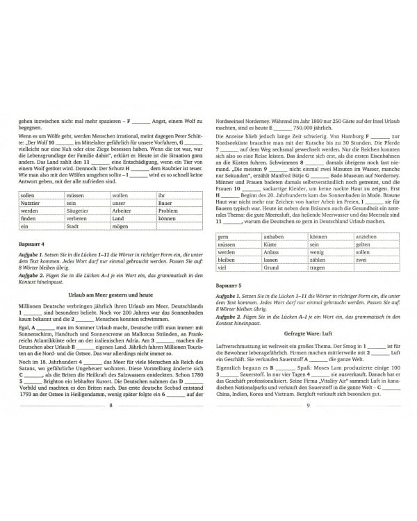 Немецкий язык. 9-11 классы. Dein Weg zum Erfolg. Сборник заданий для подготовки к олимпиаде