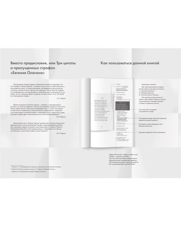 Евгений Онегин. Пропущенные строфы. Другие редакции и варианты