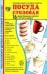 Демонстрационные картинки Посуда столовая