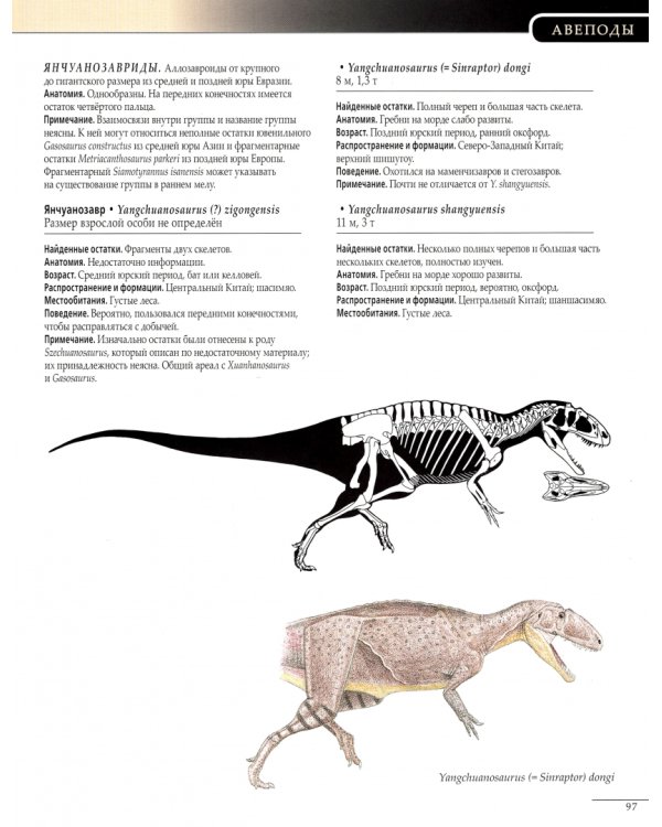 Динозавры. Полный определитель