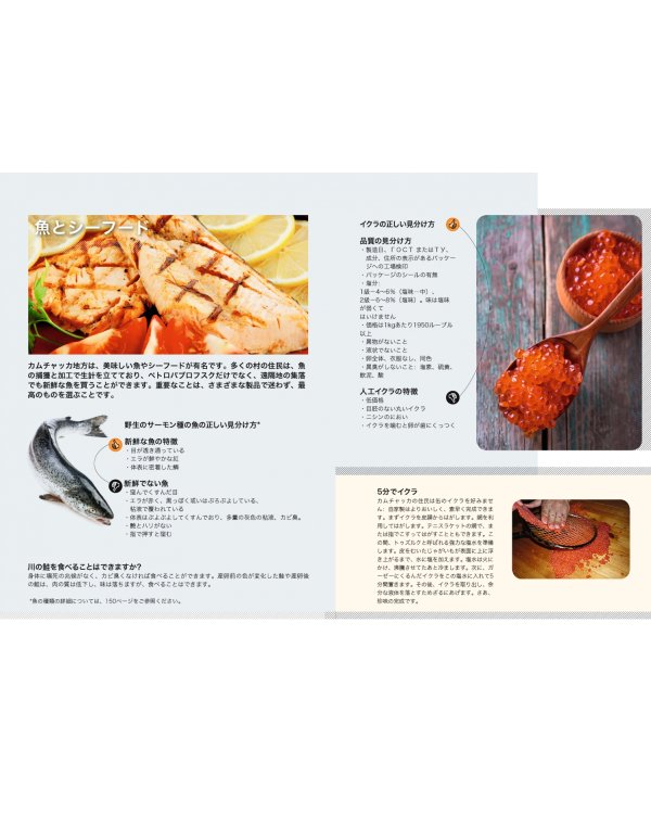 Камчатка. Современный путеводитель, японский язык