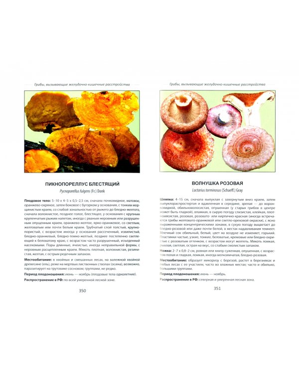 Ядовитые грибы России