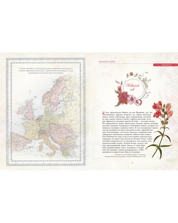 Любимые цветы. Иллюстрированная история