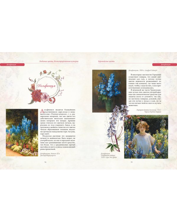 Любимые цветы. Иллюстрированная история