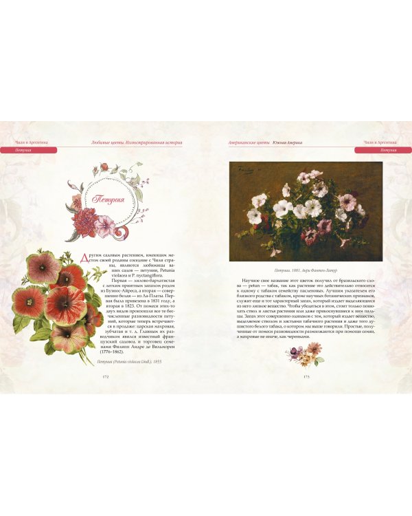 Любимые цветы. Иллюстрированная история