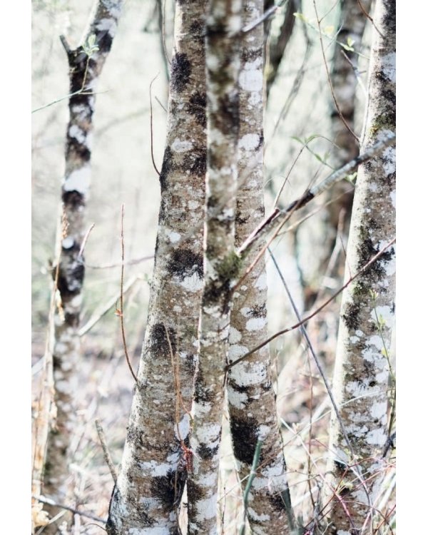 Домашний декор в стиле Хюгге. Простые craft-проекты для создания островка счастья