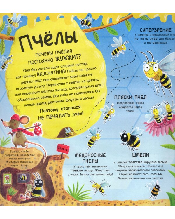 А ты любишь букашек? Сногсшибательные факты о букашках