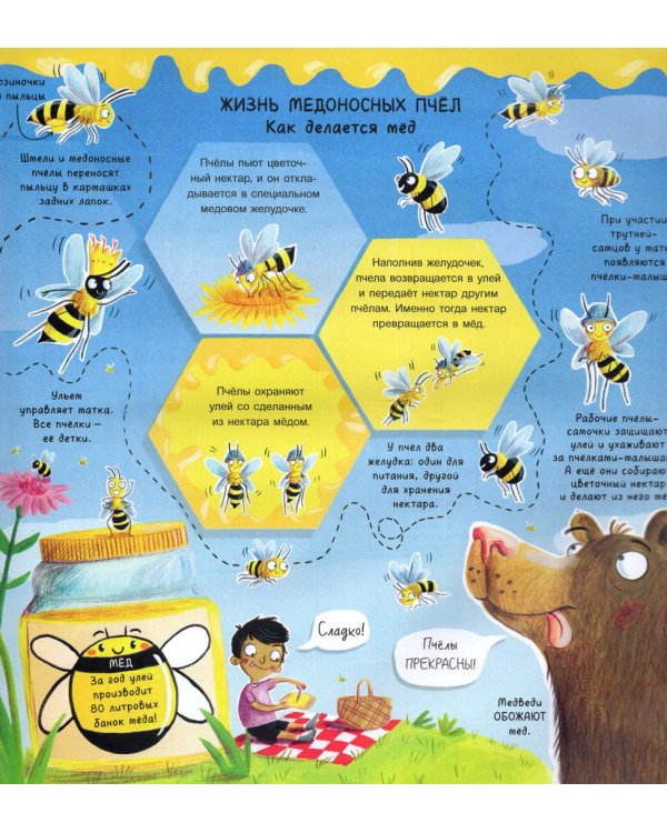 А ты любишь букашек? Сногсшибательные факты о букашках