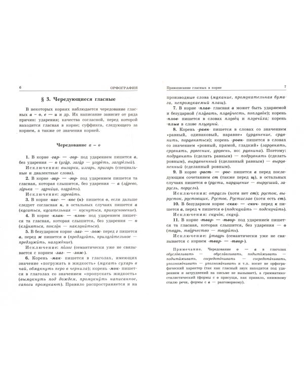 Русский язык. Орфография и пунктуация