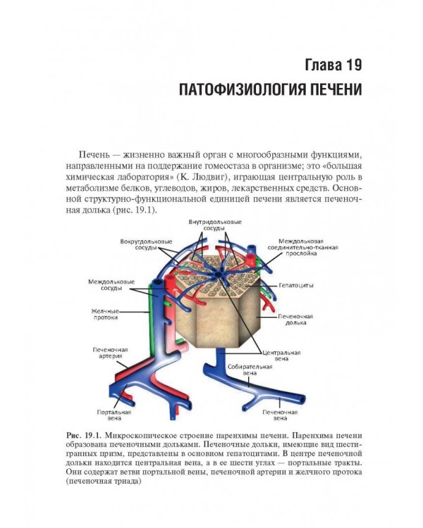 Патофизиология. Учебник. В 2-х томах. Том 2