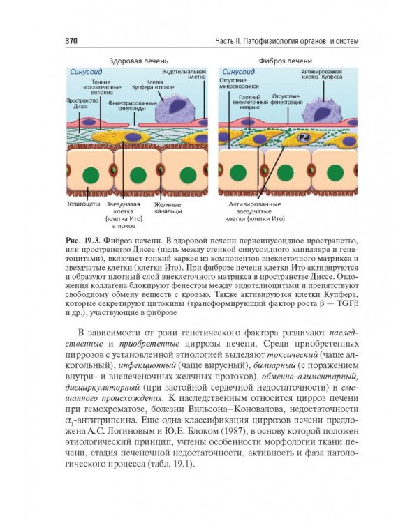 Патофизиология. Учебник. В 2-х томах. Том 2