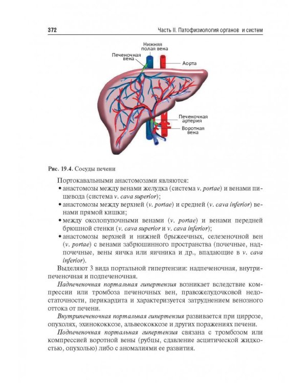 Патофизиология. Учебник. В 2-х томах. Том 2