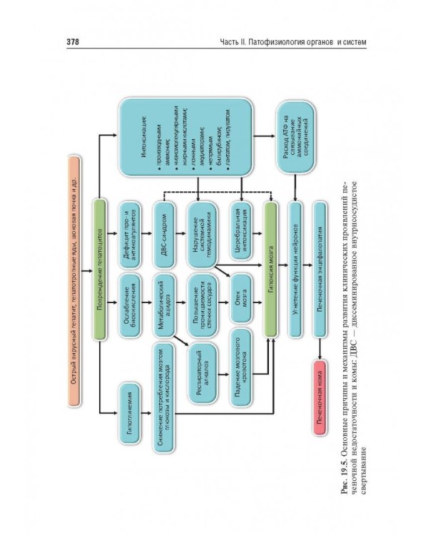 Патофизиология. Учебник. В 2-х томах. Том 2