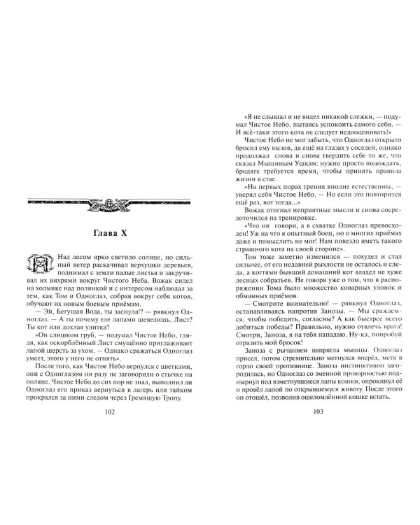 Сверкающая Звезда