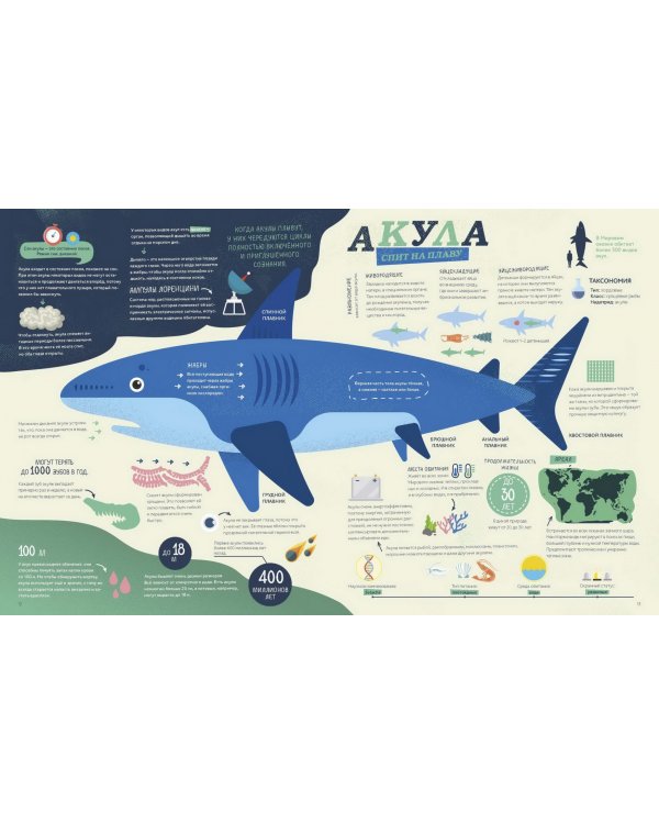 Как спит пчела? Удивительные факты о животных и их суперспособностях