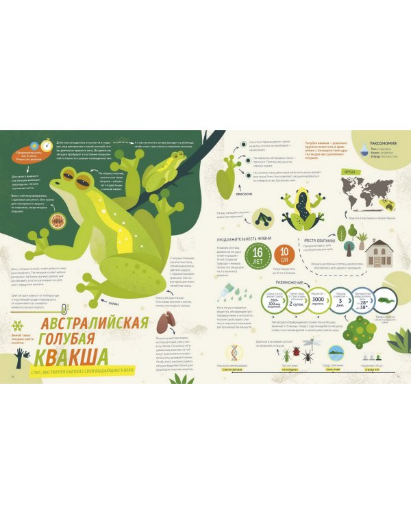 Как спит пчела? Удивительные факты о животных и их суперспособностях