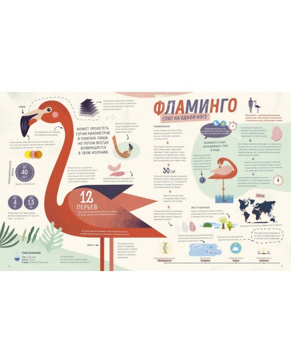 Как спит пчела? Удивительные факты о животных и их суперспособностях