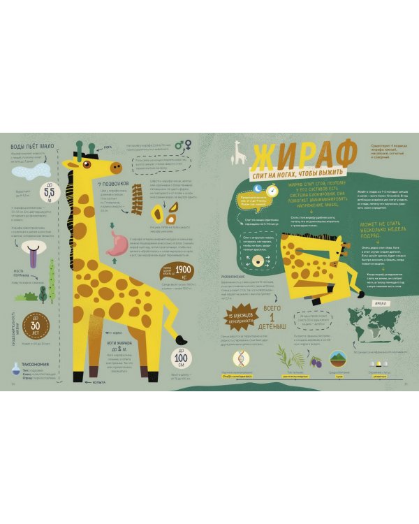 Как спит пчела? Удивительные факты о животных и их суперспособностях