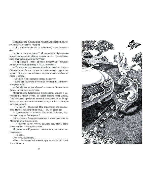 Сны и видения Бабочки. Беглянка