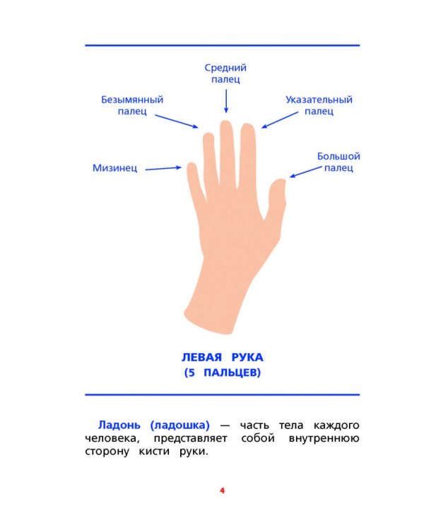 Межполушарное взаимодействие. Задания для развития ребёнка