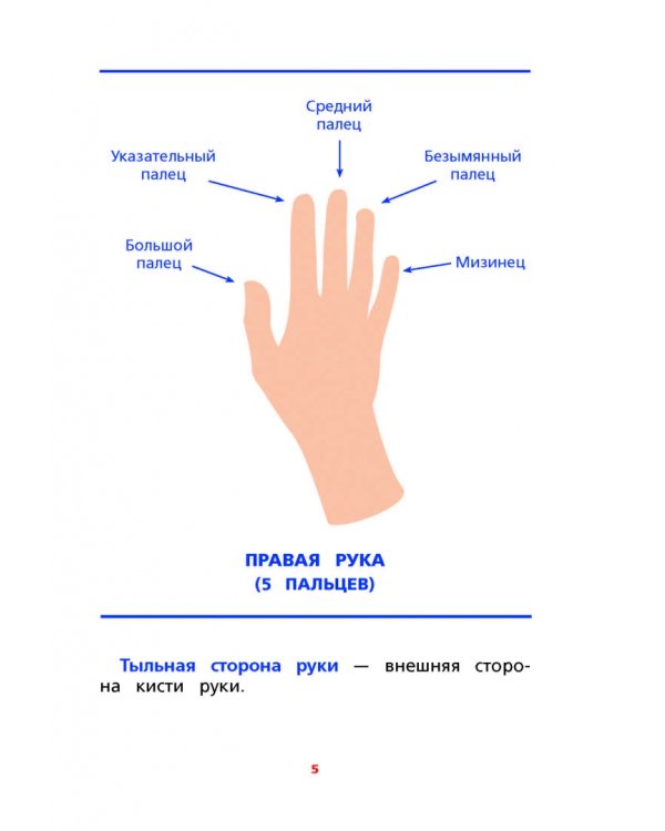 Межполушарное взаимодействие. Задания для развития ребёнка