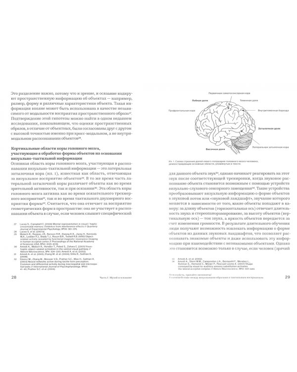 Мультисенсорный музей. Междисциплинарный взгляд на осязание, звук, запах, память и пространство