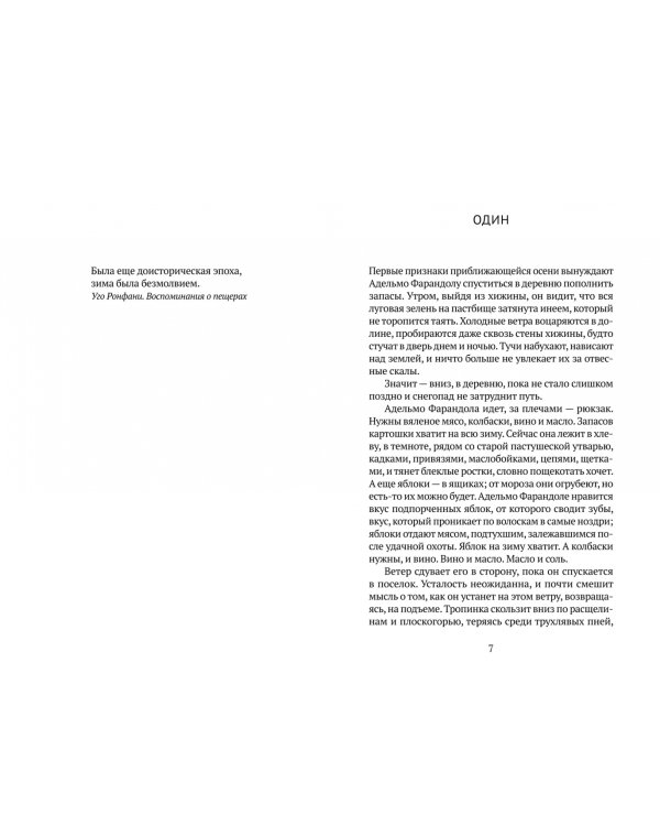 Снег, собака, нога