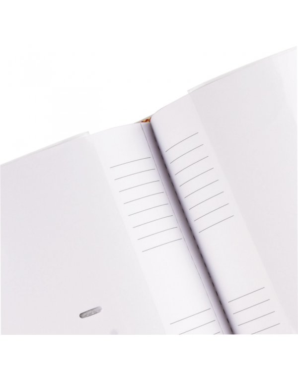 Фотоальбом BRAUBERG на 300 фото, черный + золотой (391118)