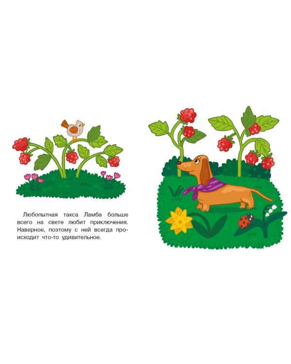 Мы теперь друзья! Книжка-картинка для первого чтения